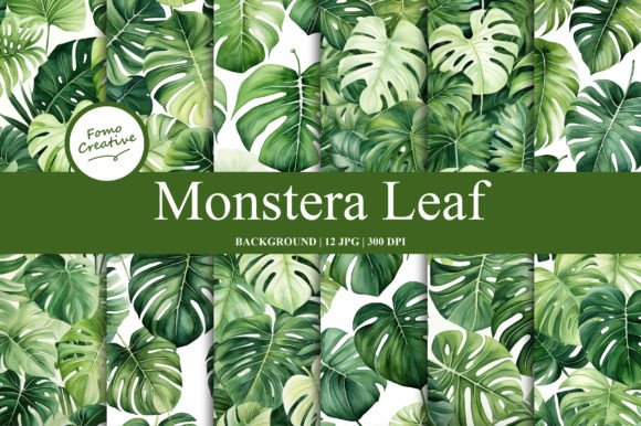 Monstera Leaf Backgrounds: A Guide to Choosing and Using Them Effectively